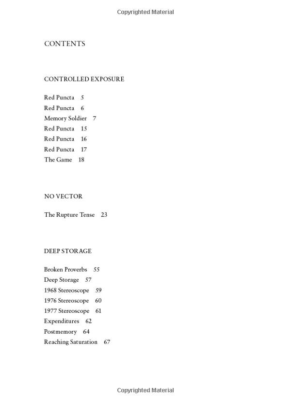 the rupture tense: poems