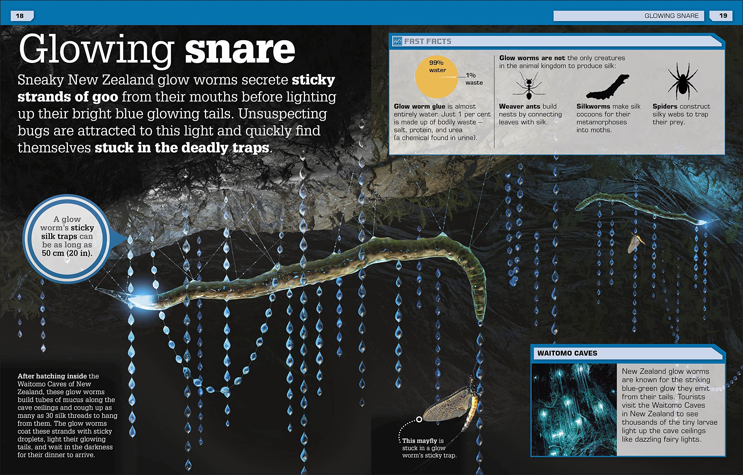 the science of goo!: from saliva and slime to frogspawn and fungus