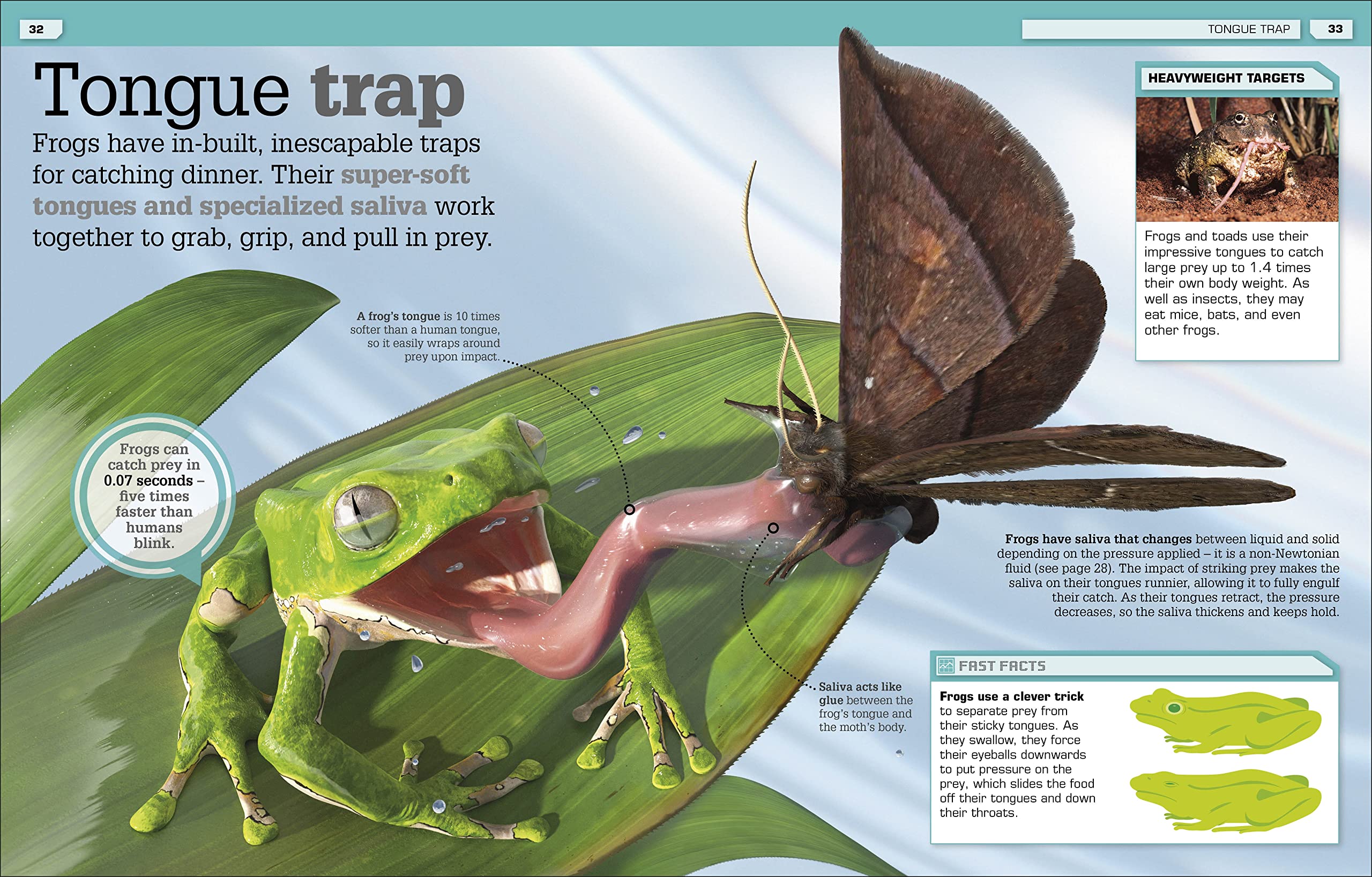 the science of goo!: from saliva and slime to frogspawn and fungus