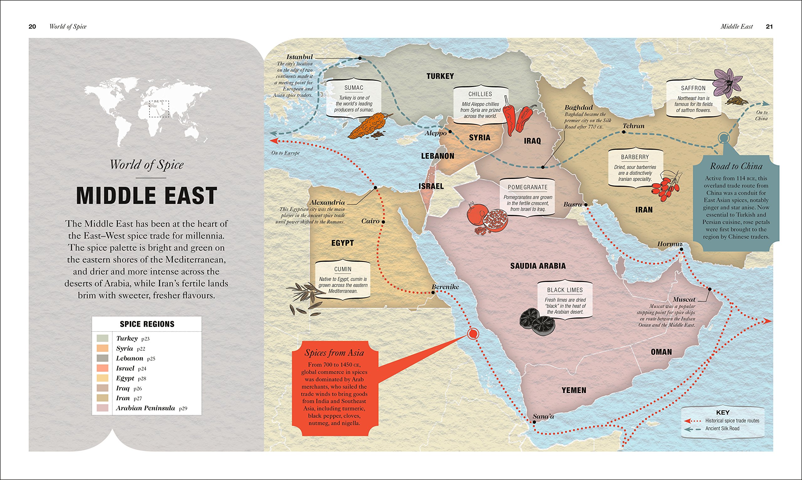 the science of spice: understand flavor connections and revolutionize your cooking