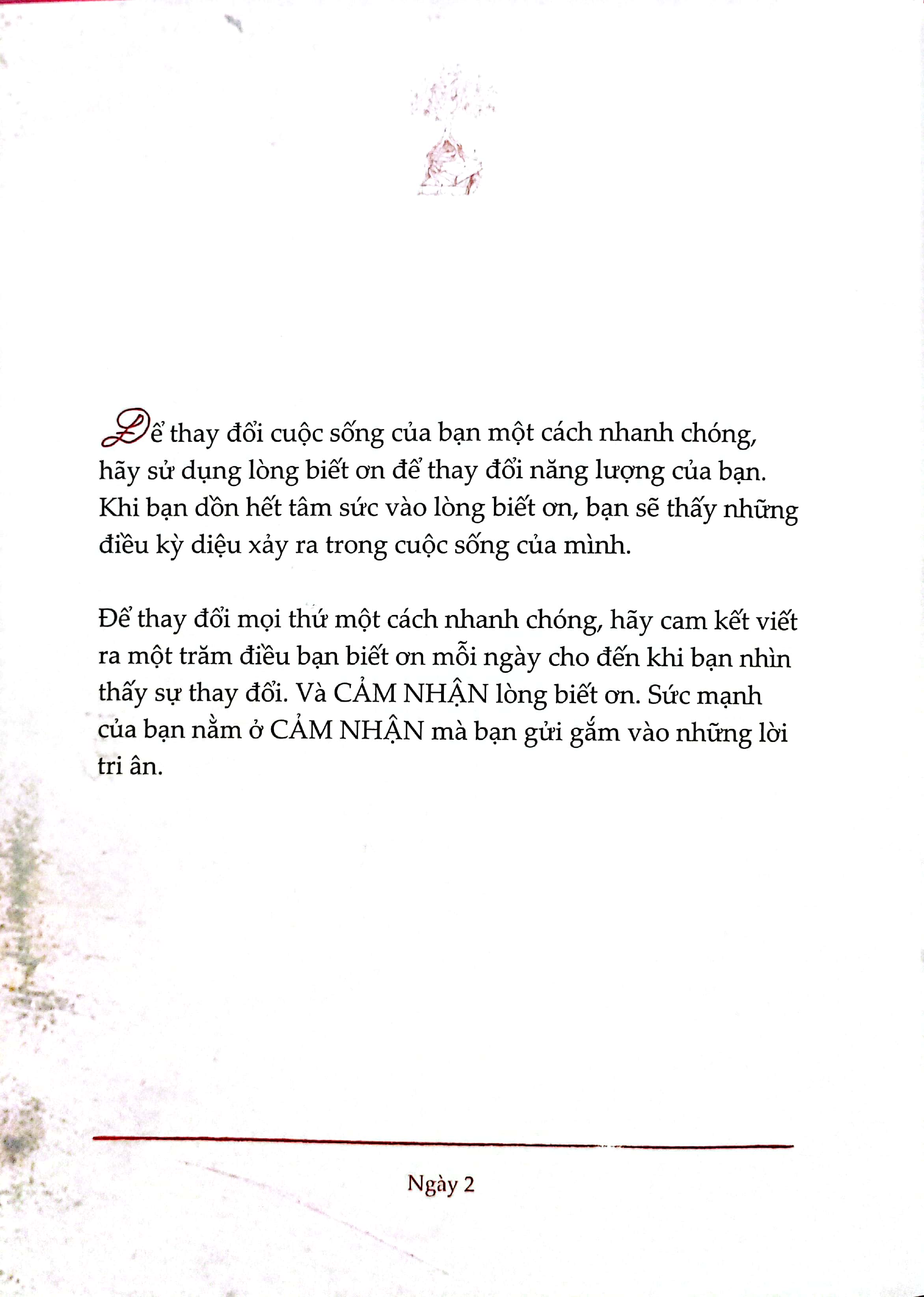 the secret - bài học bí mật mỗi ngày