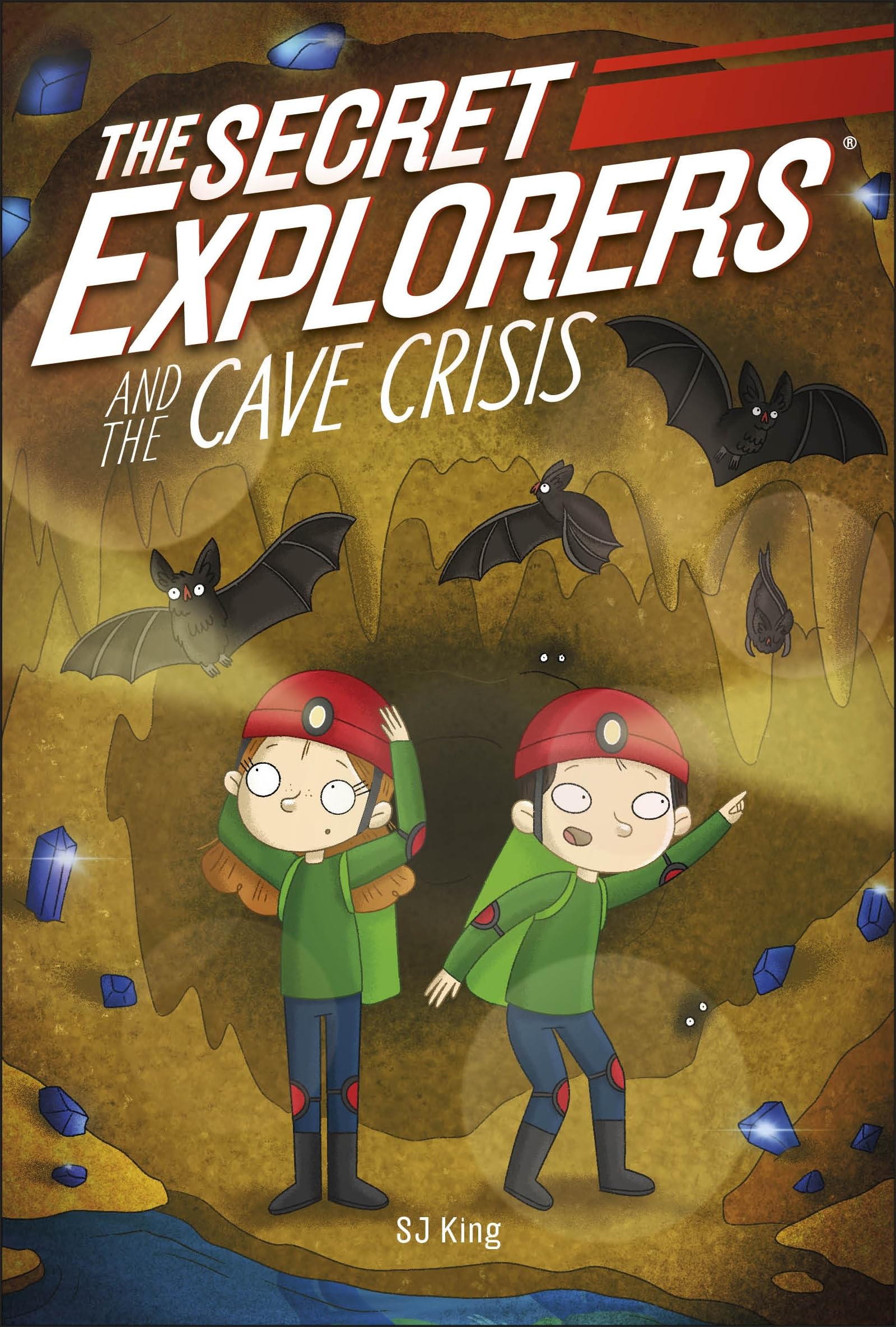 the secret explorers and the cave crisis
