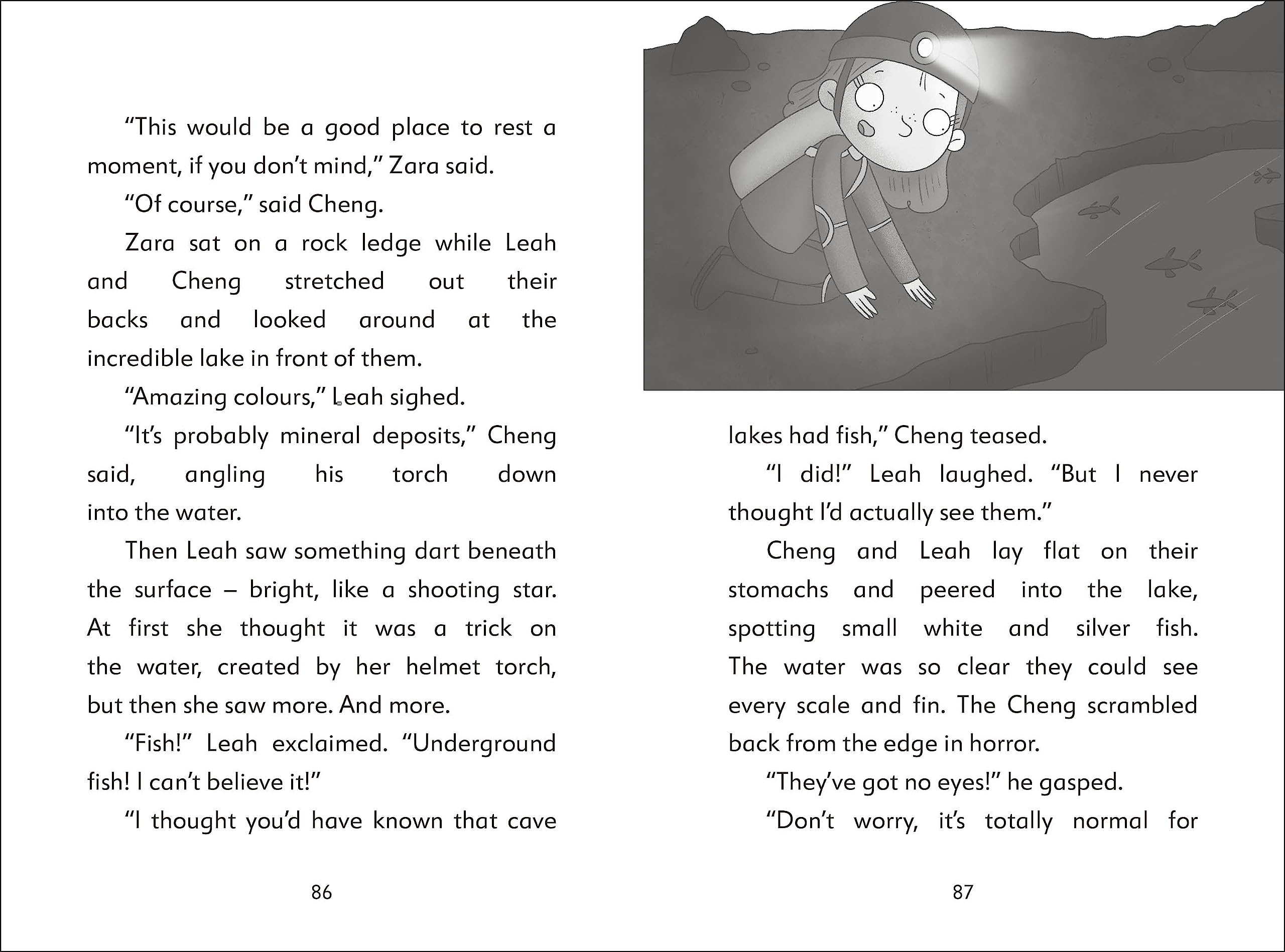 the secret explorers and the cave crisis