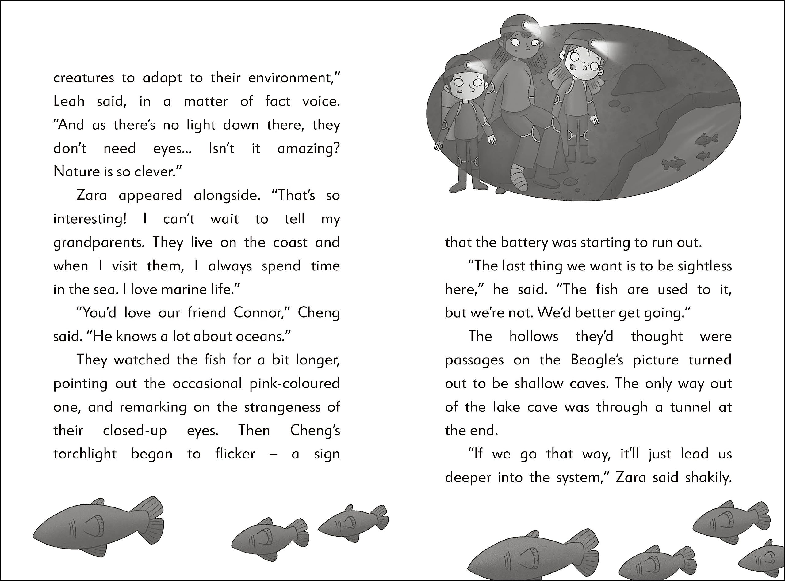 the secret explorers and the cave crisis