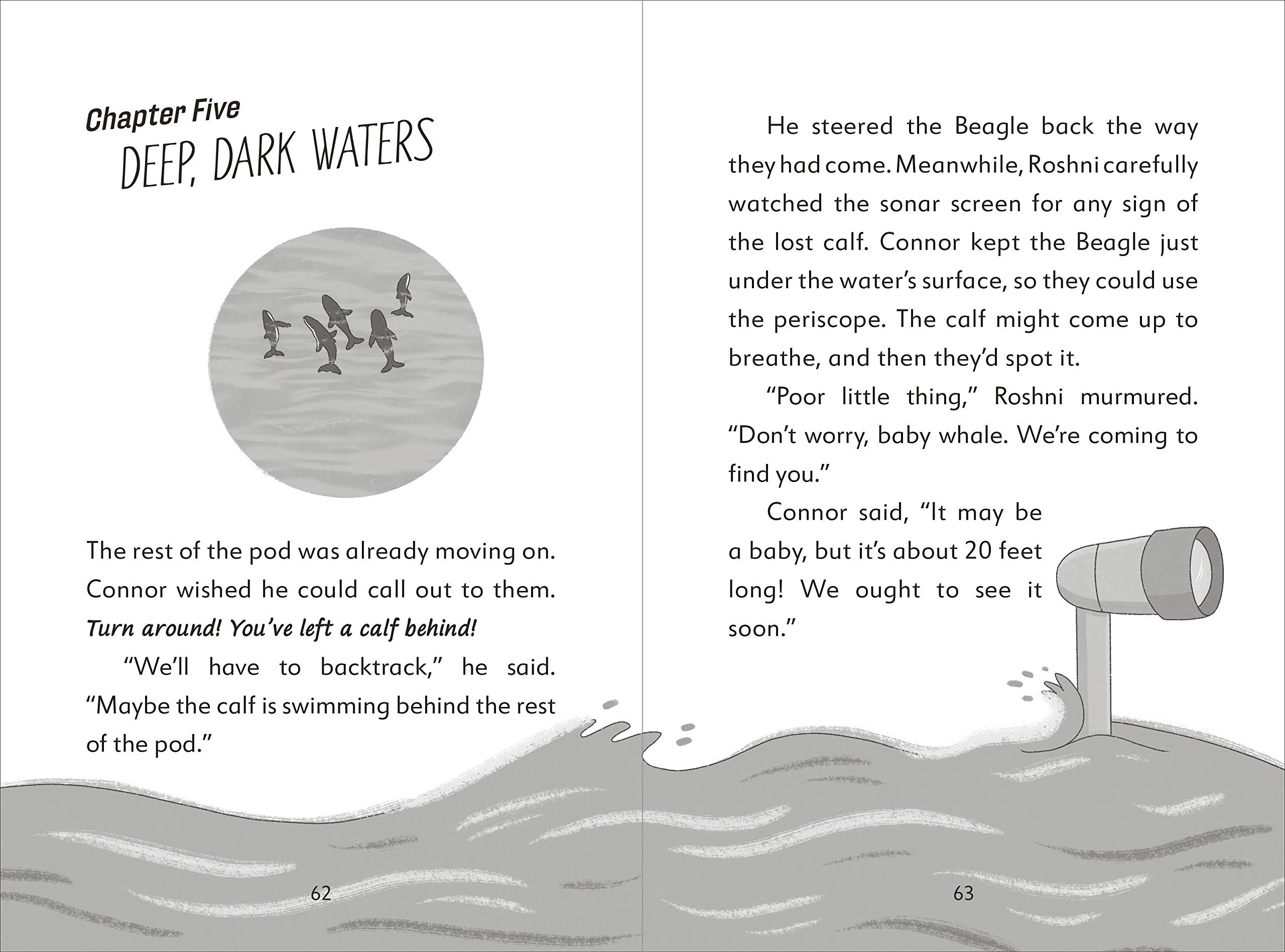 the secret explorers and the lost whales