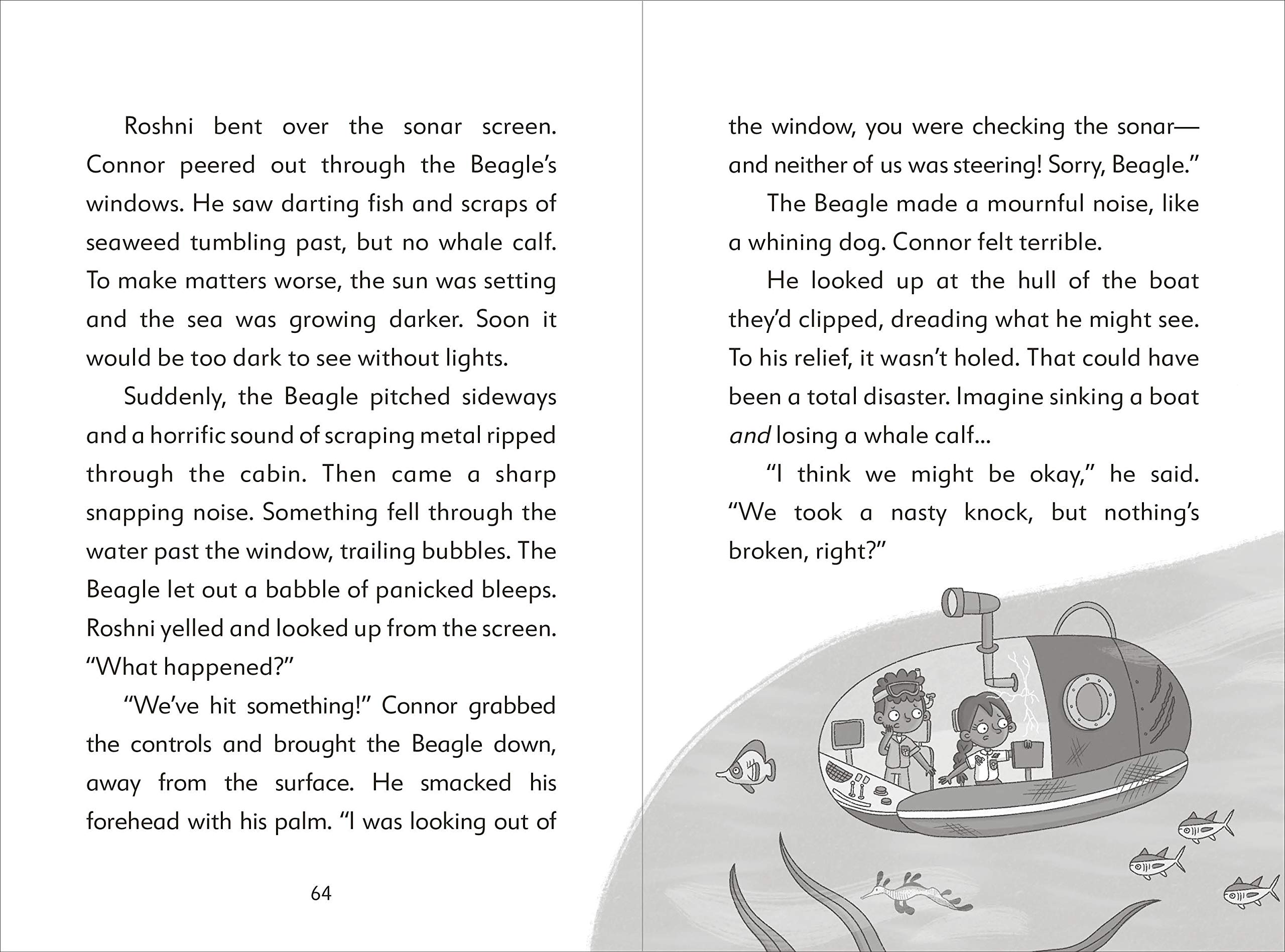 the secret explorers and the lost whales