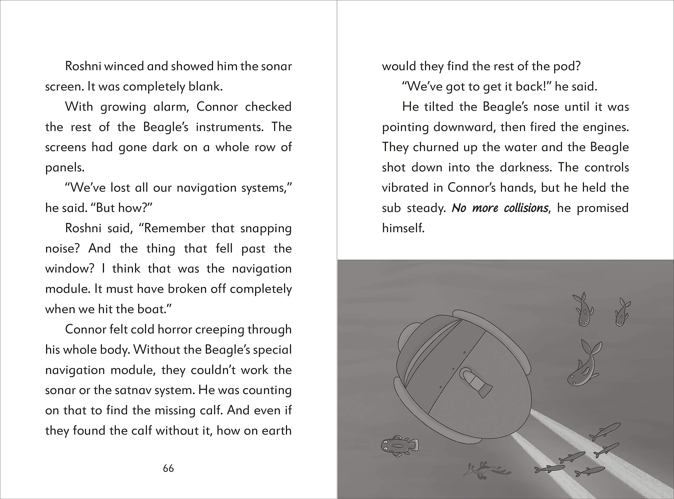 the secret explorers and the lost whales