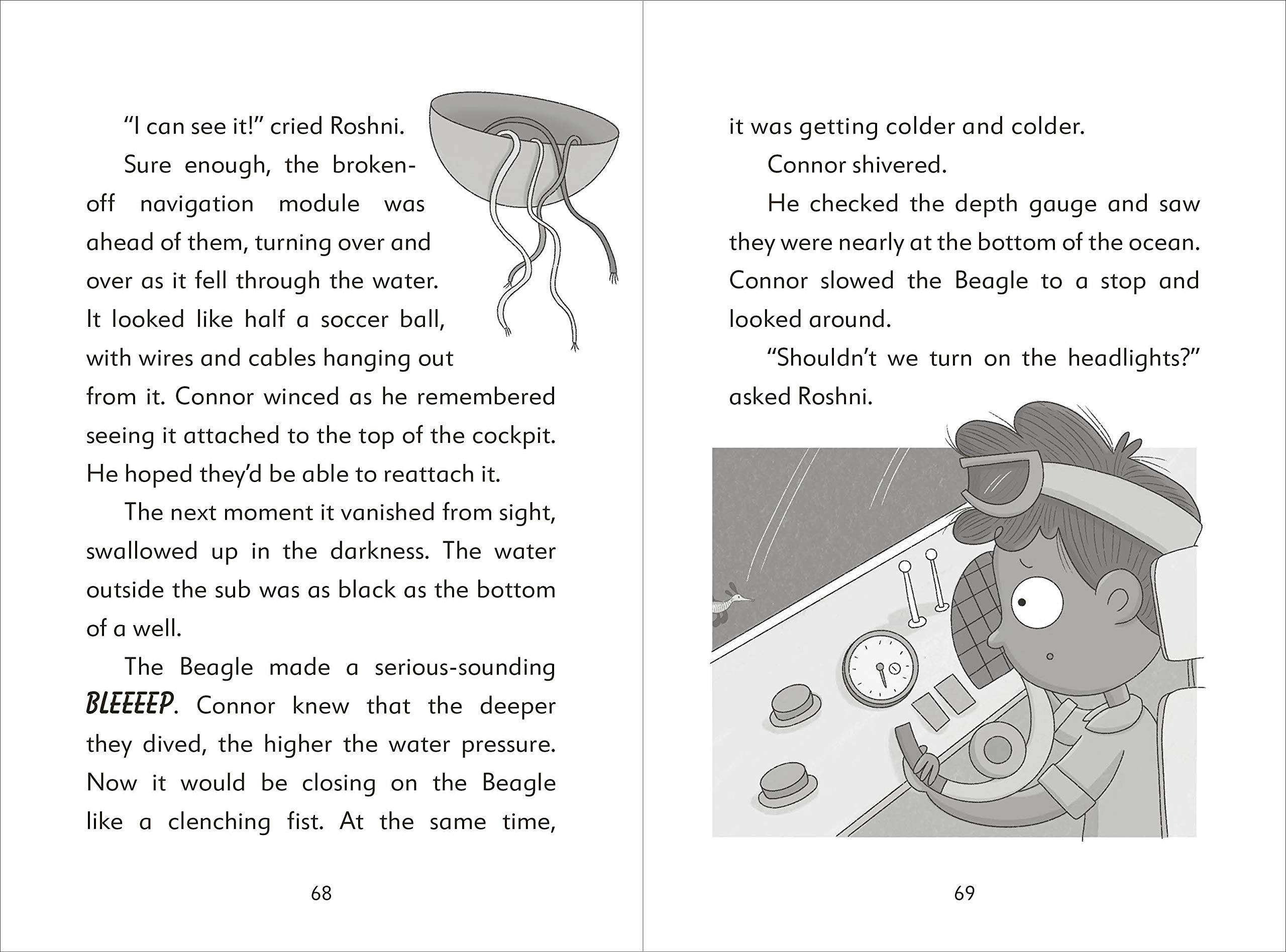 the secret explorers and the lost whales