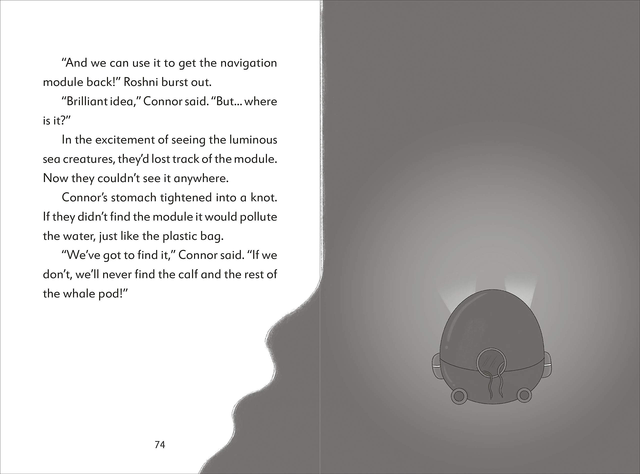 the secret explorers and the lost whales