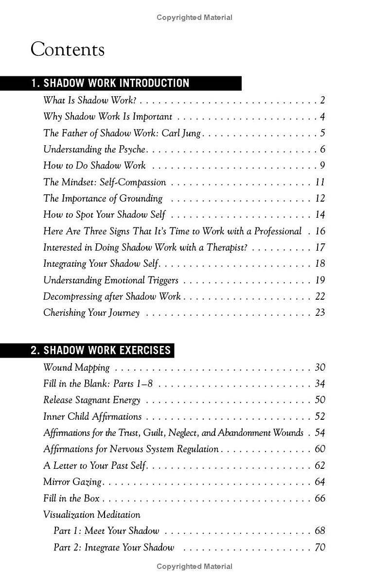 the shadow work journal