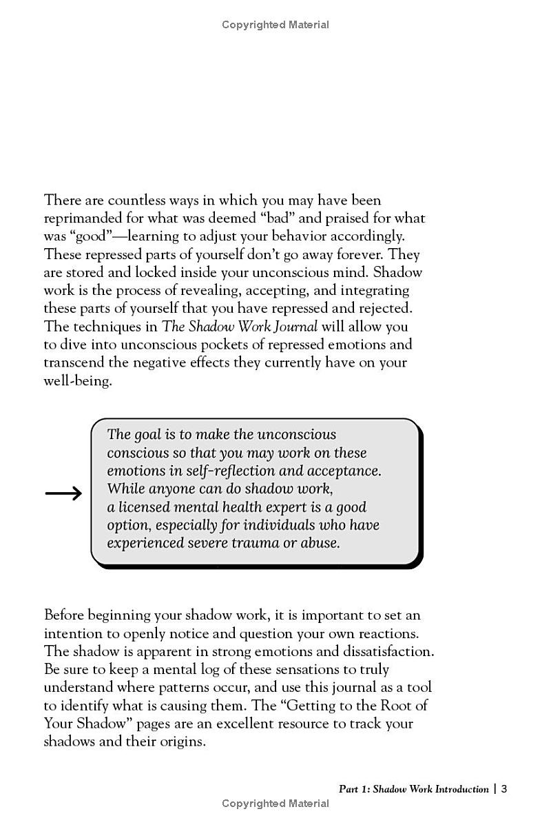 the shadow work journal