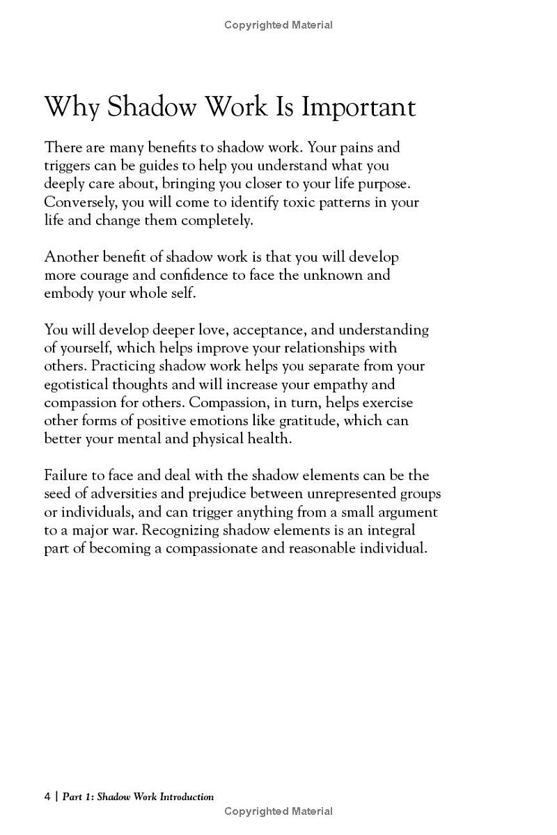 the shadow work journal