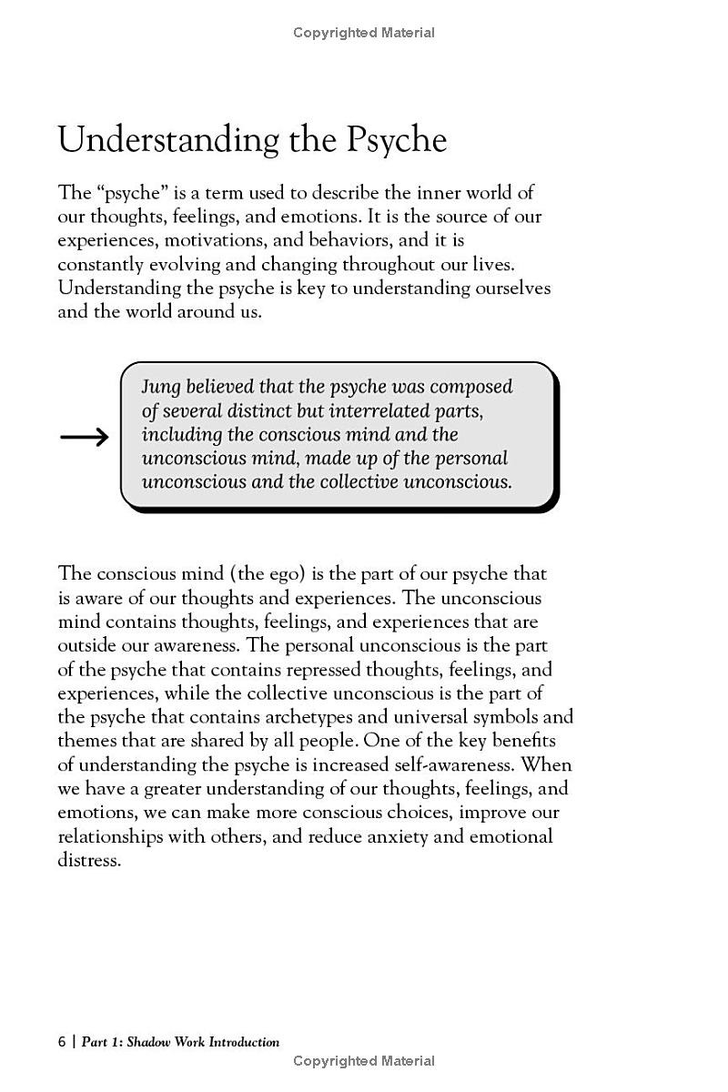 the shadow work journal