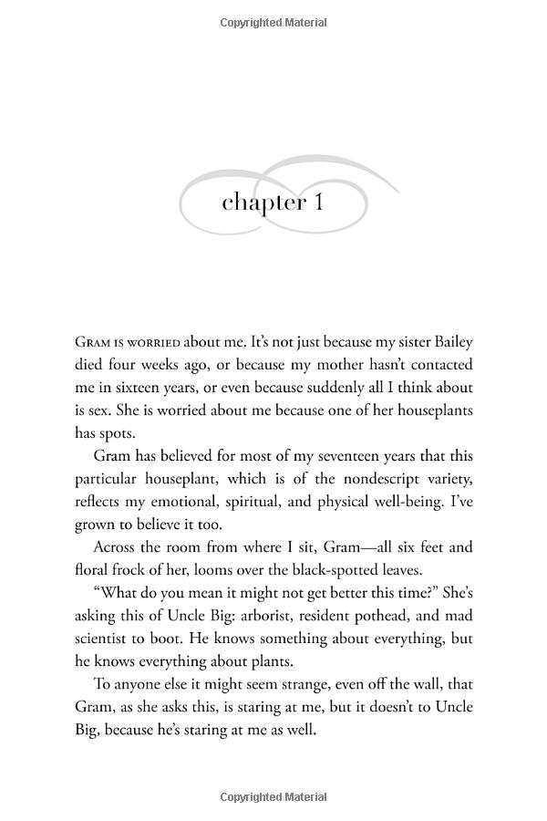 the sky is everywhere (movie tie-in)