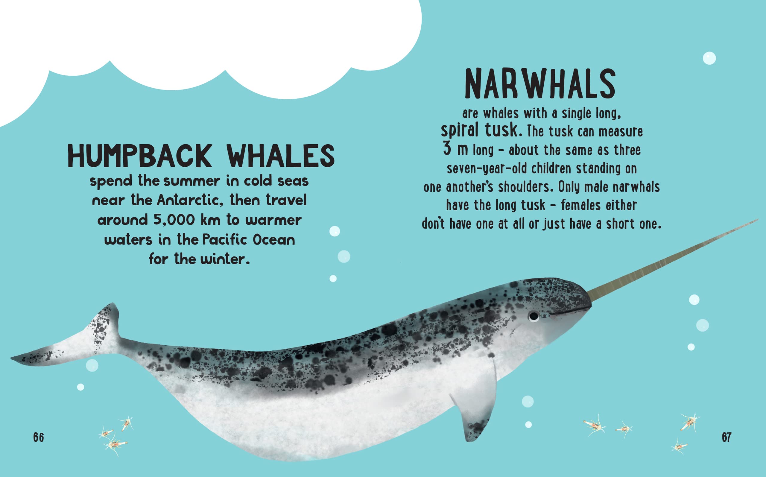 the small and mighty book of oceans: pocket-sized books, massive facts!