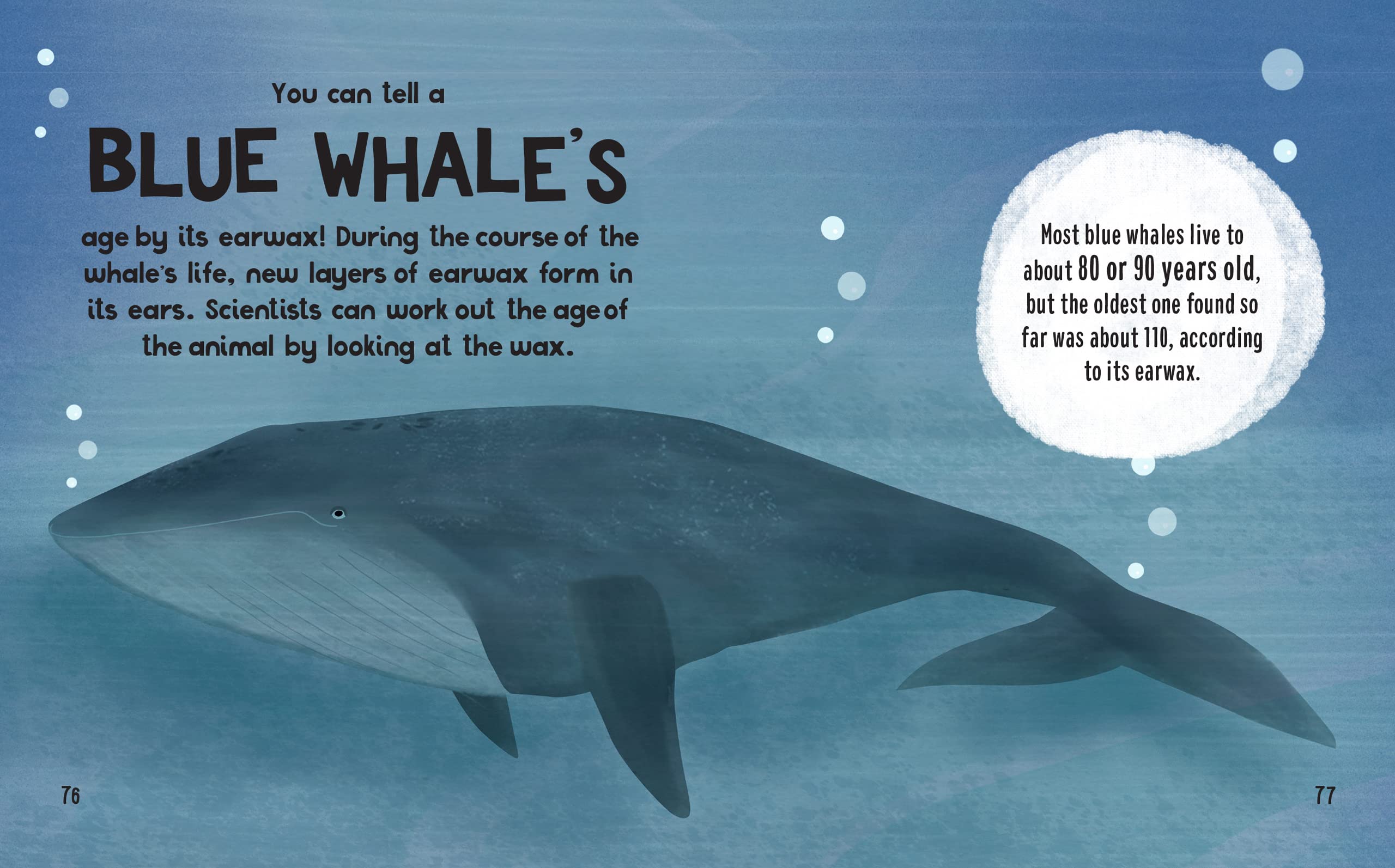 the small and mighty book of oceans: pocket-sized books, massive facts!