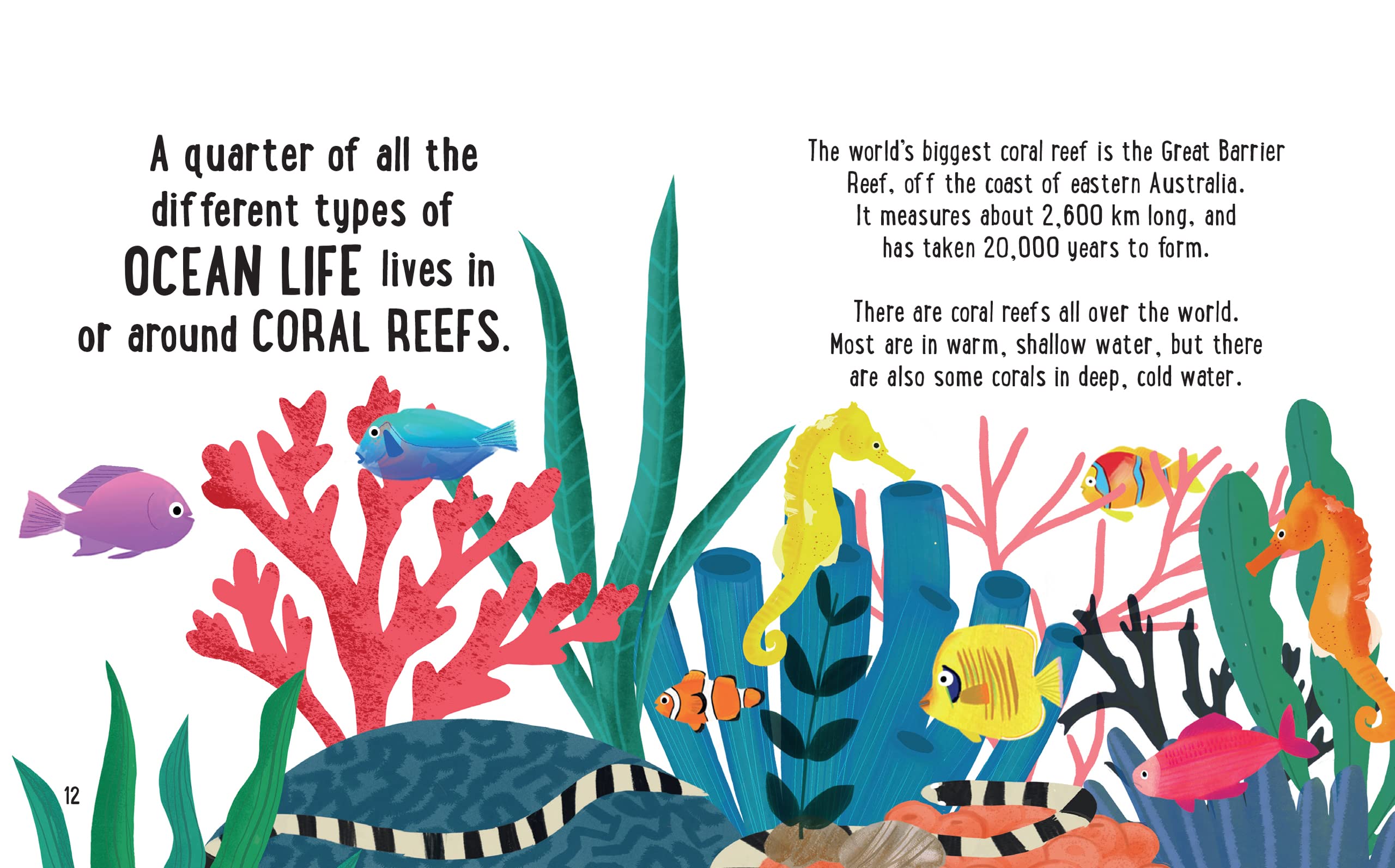 the small and mighty book of oceans: pocket-sized books, massive facts!