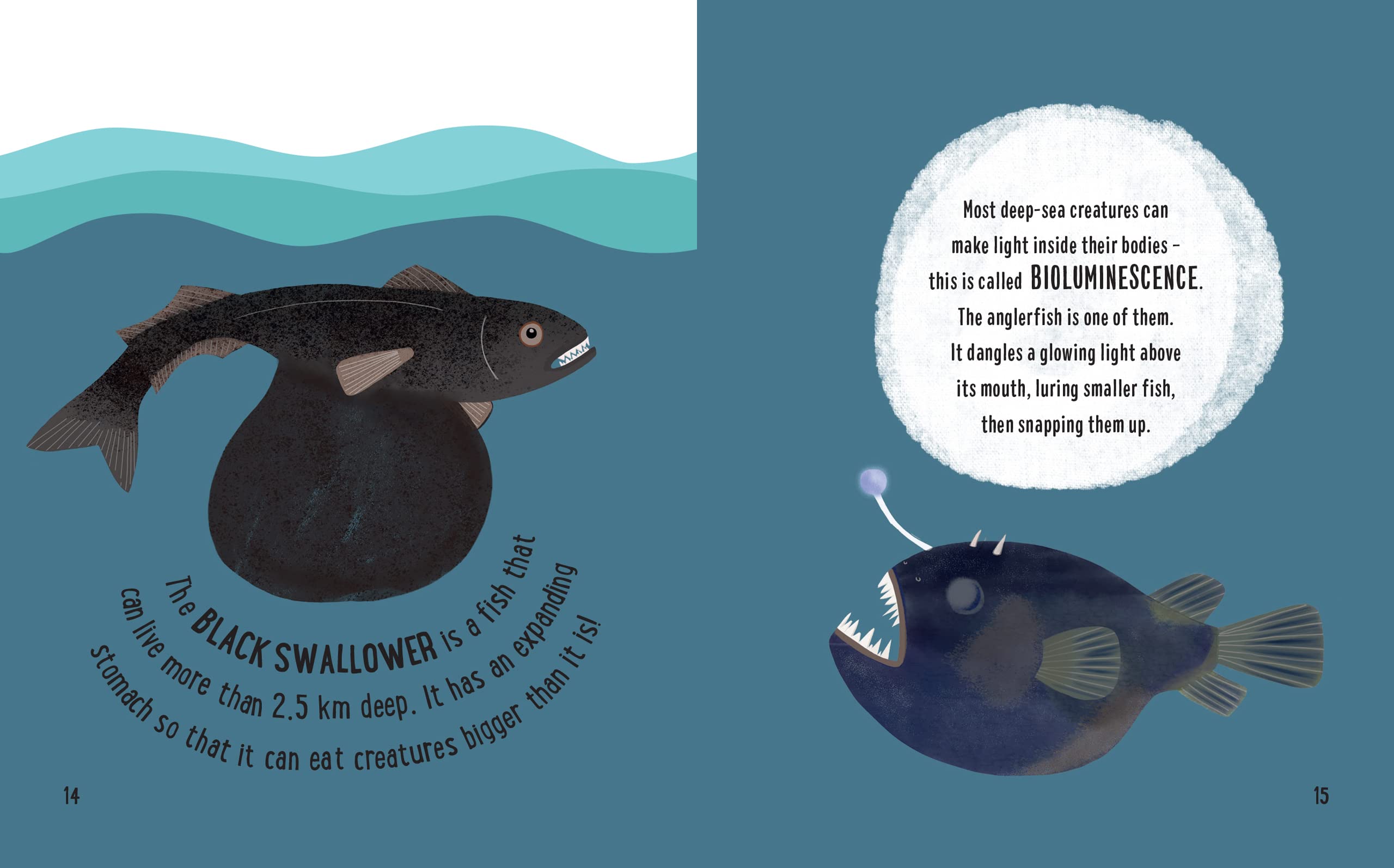 the small and mighty book of oceans: pocket-sized books, massive facts!