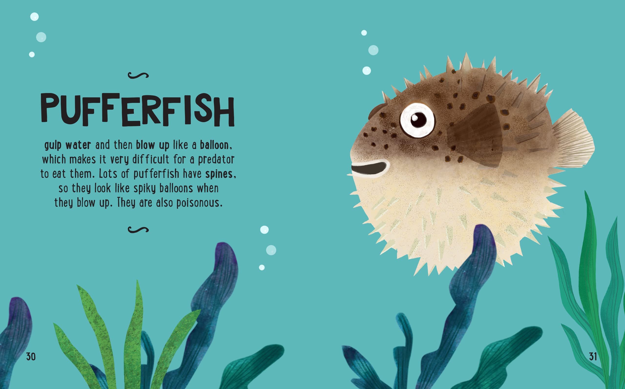 the small and mighty book of oceans: pocket-sized books, massive facts!