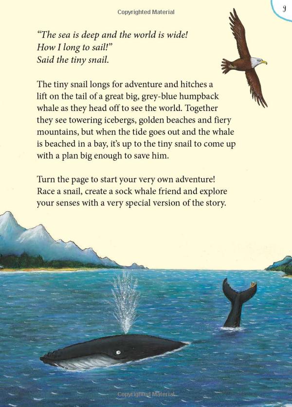 the snail and the whale and friends outdoor activity book