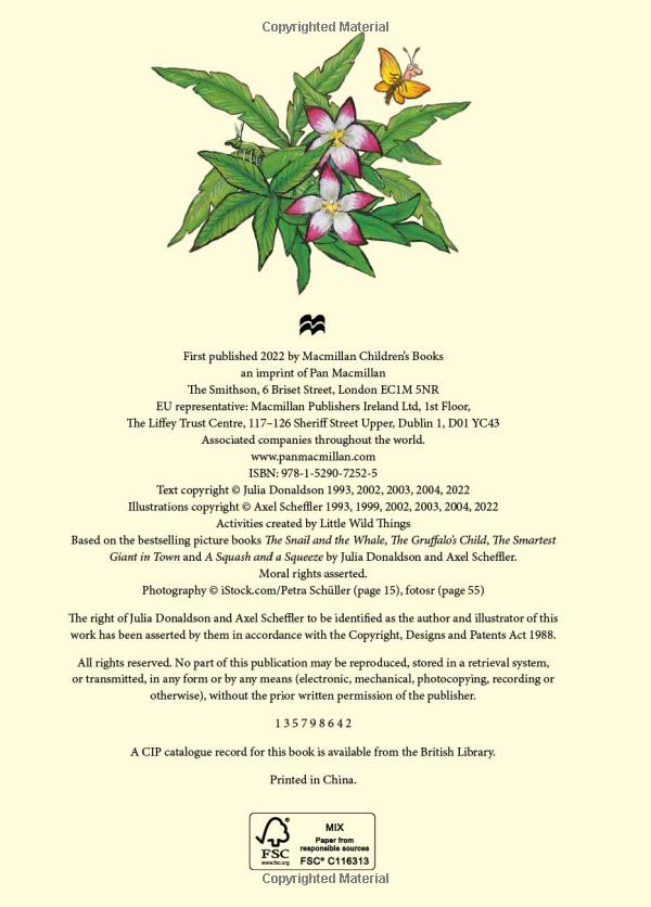 the snail and the whale and friends outdoor activity book