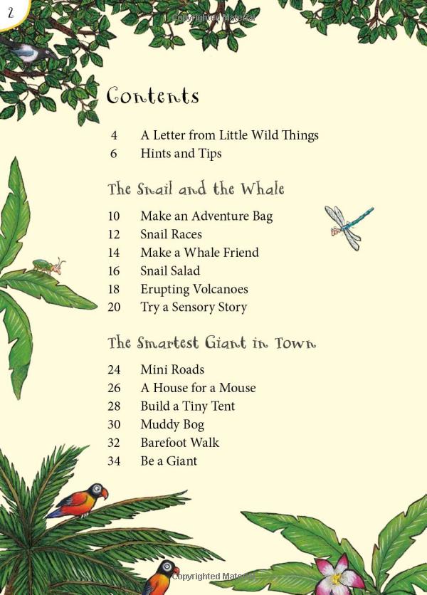 the snail and the whale and friends outdoor activity book