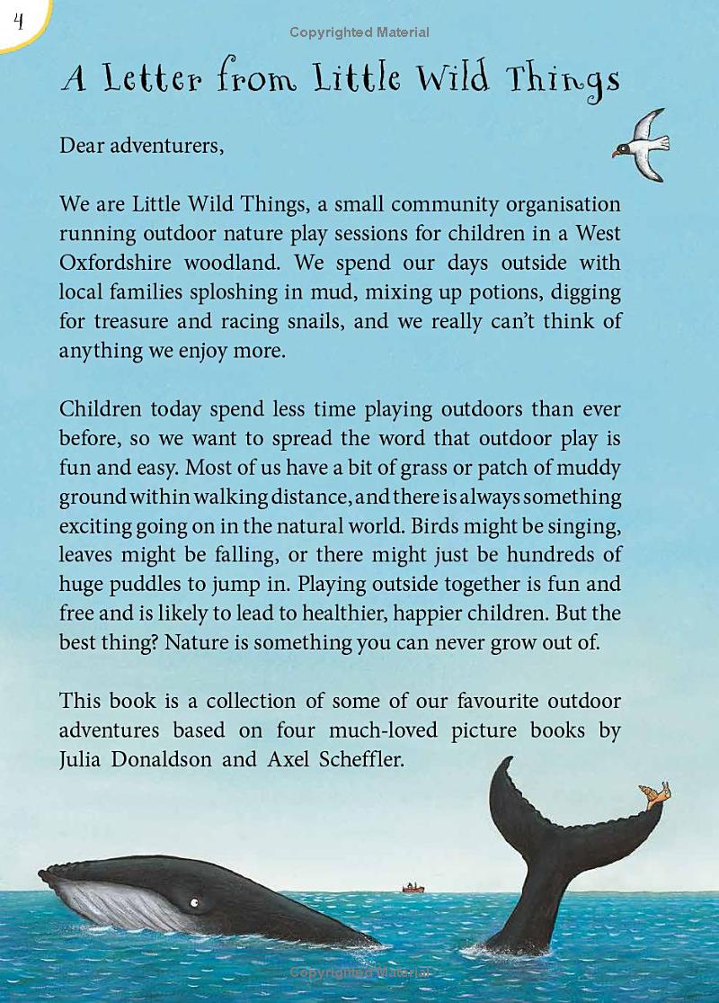 the snail and the whale and friends outdoor activity book