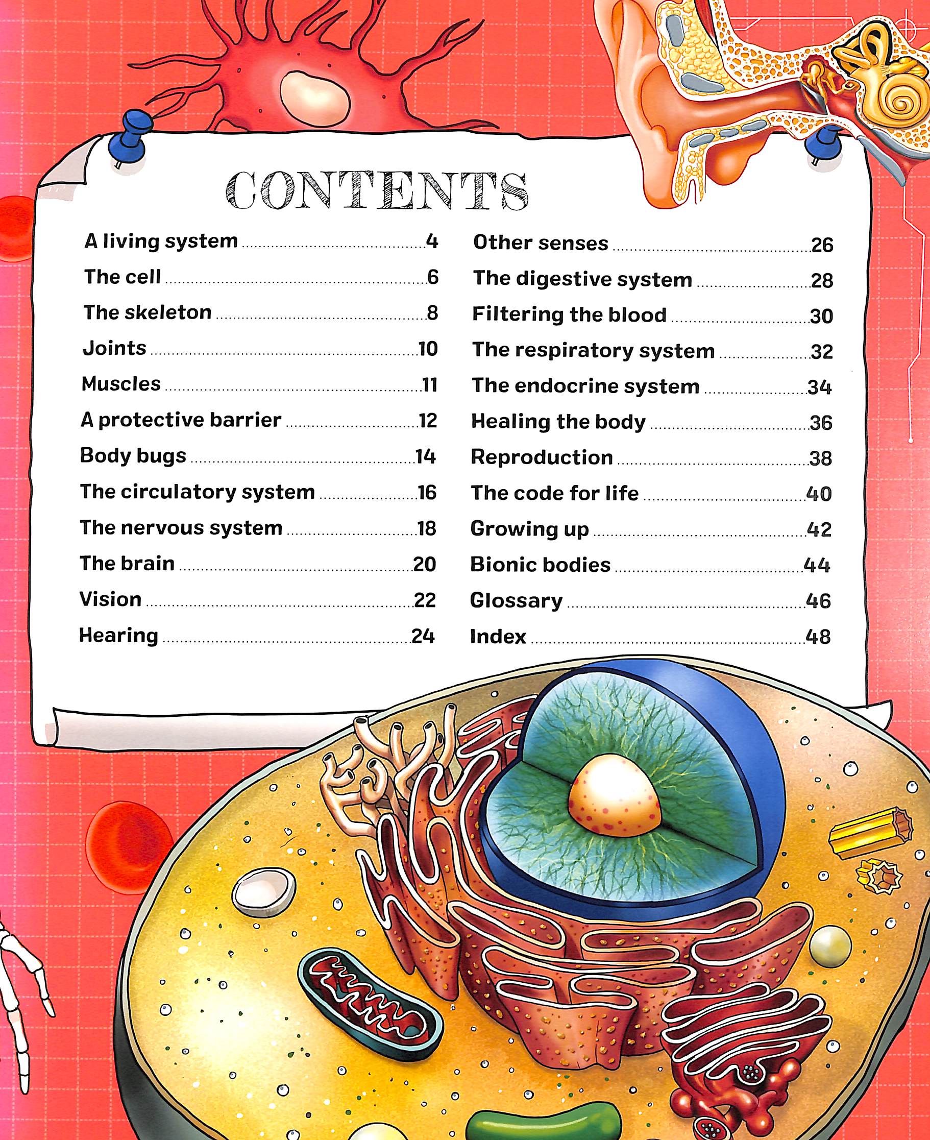 the spectacular science of the human body