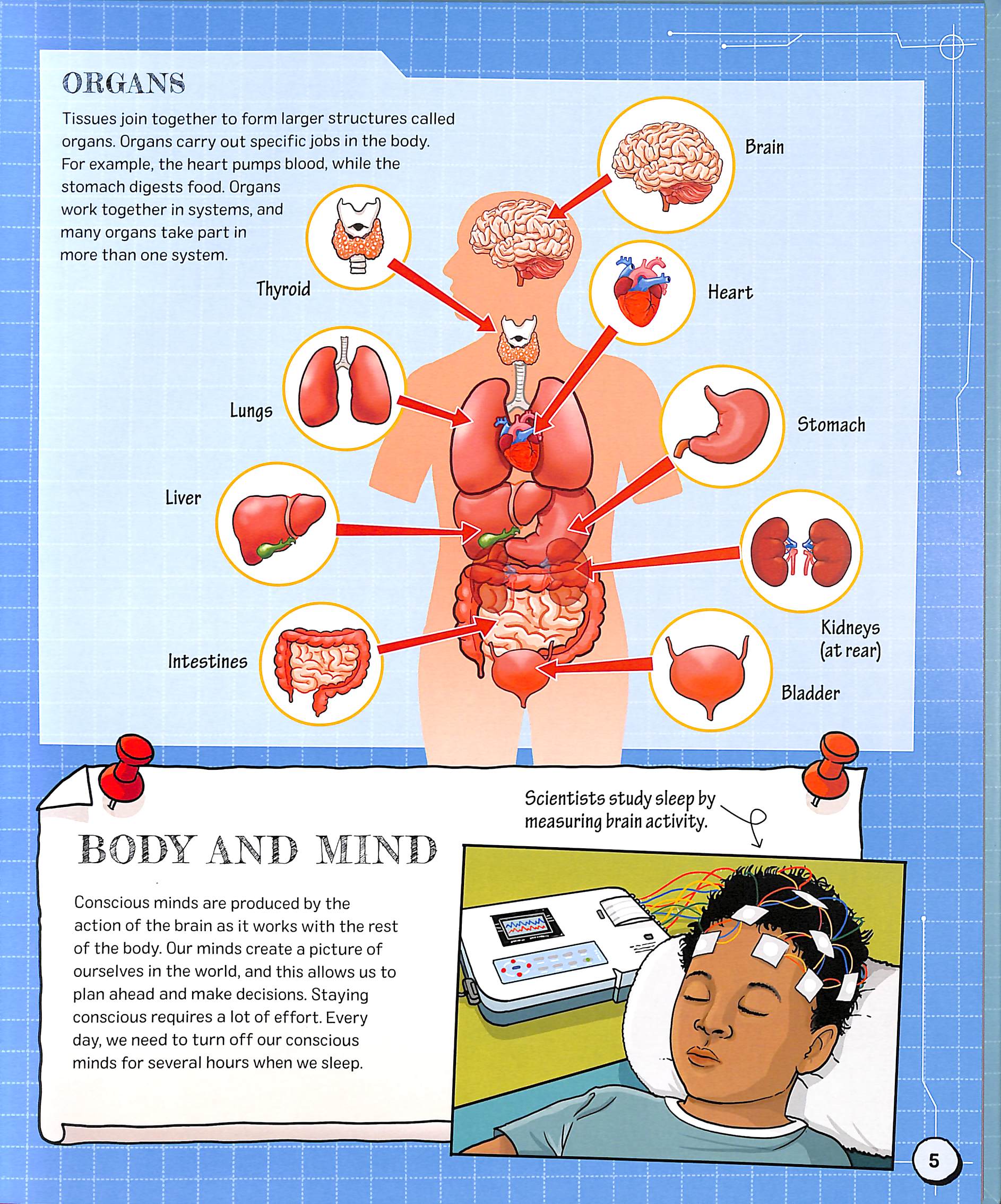 the spectacular science of the human body
