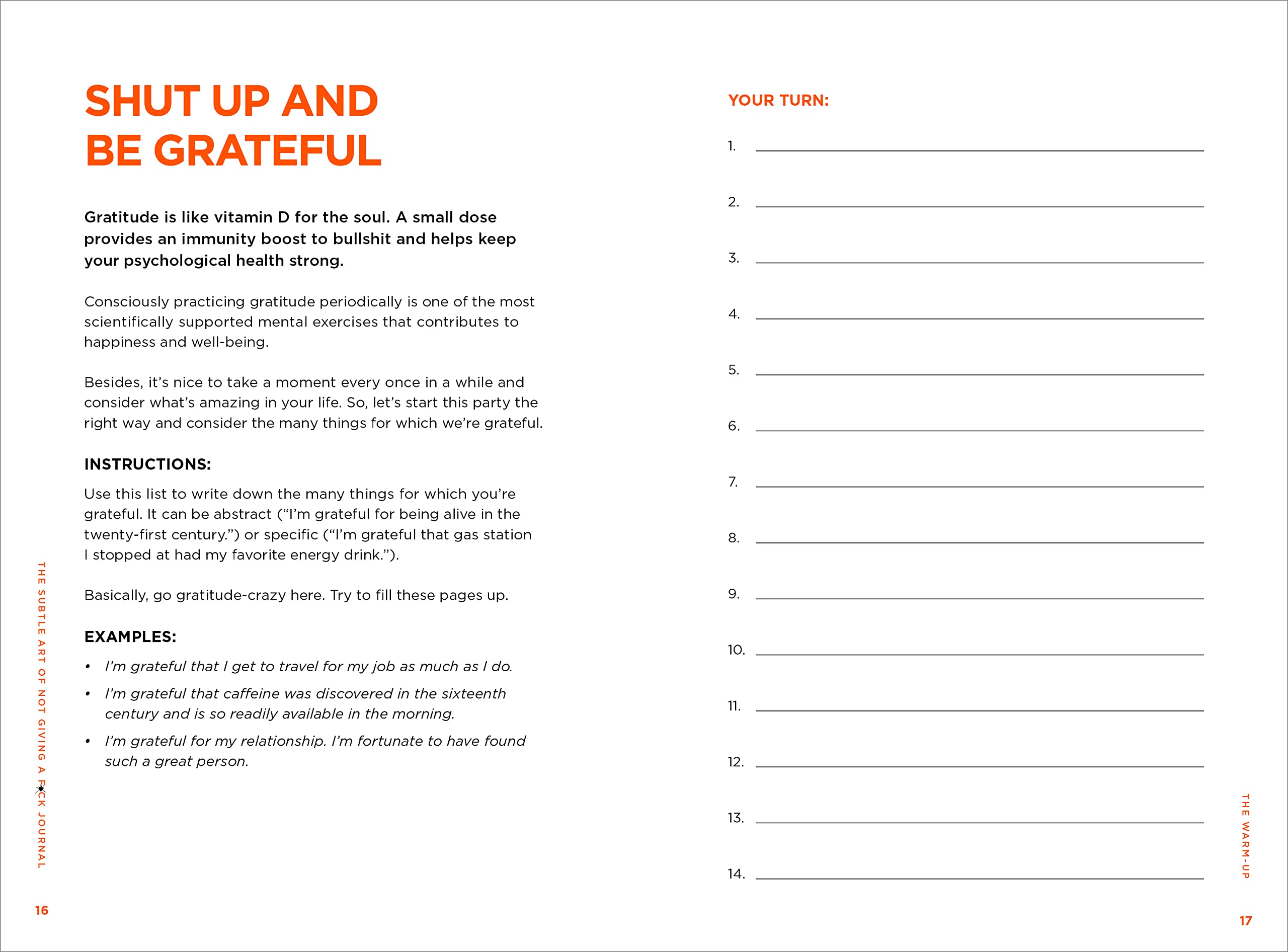 the subtle art of not giving a f*ck journal