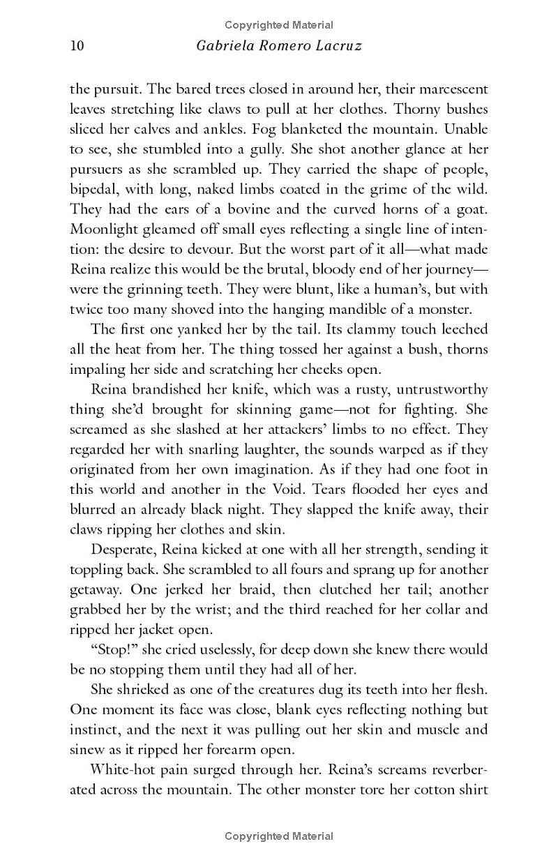 The Sun And The Void