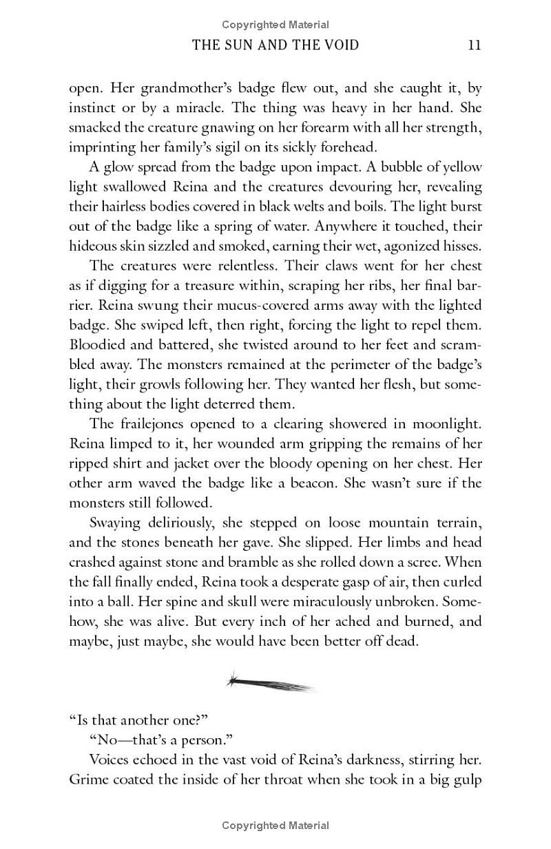 The Sun And The Void