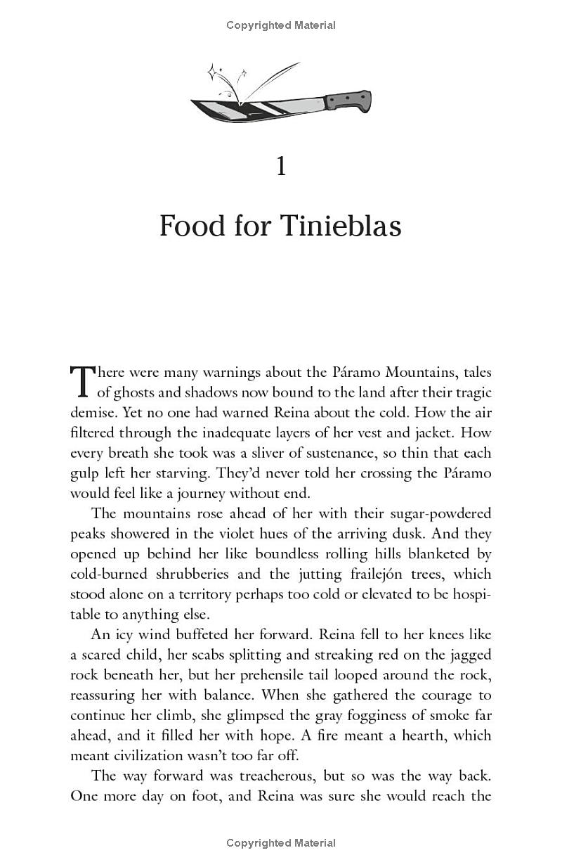 The Sun And The Void