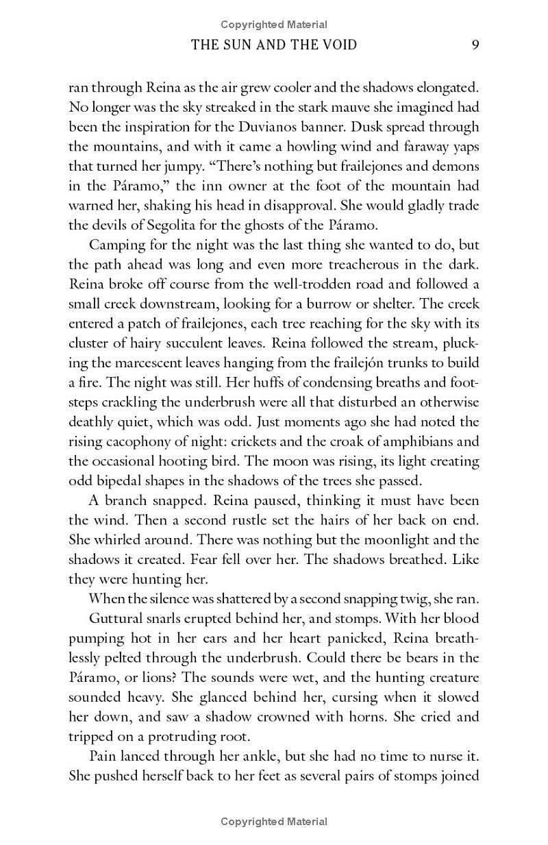 The Sun And The Void