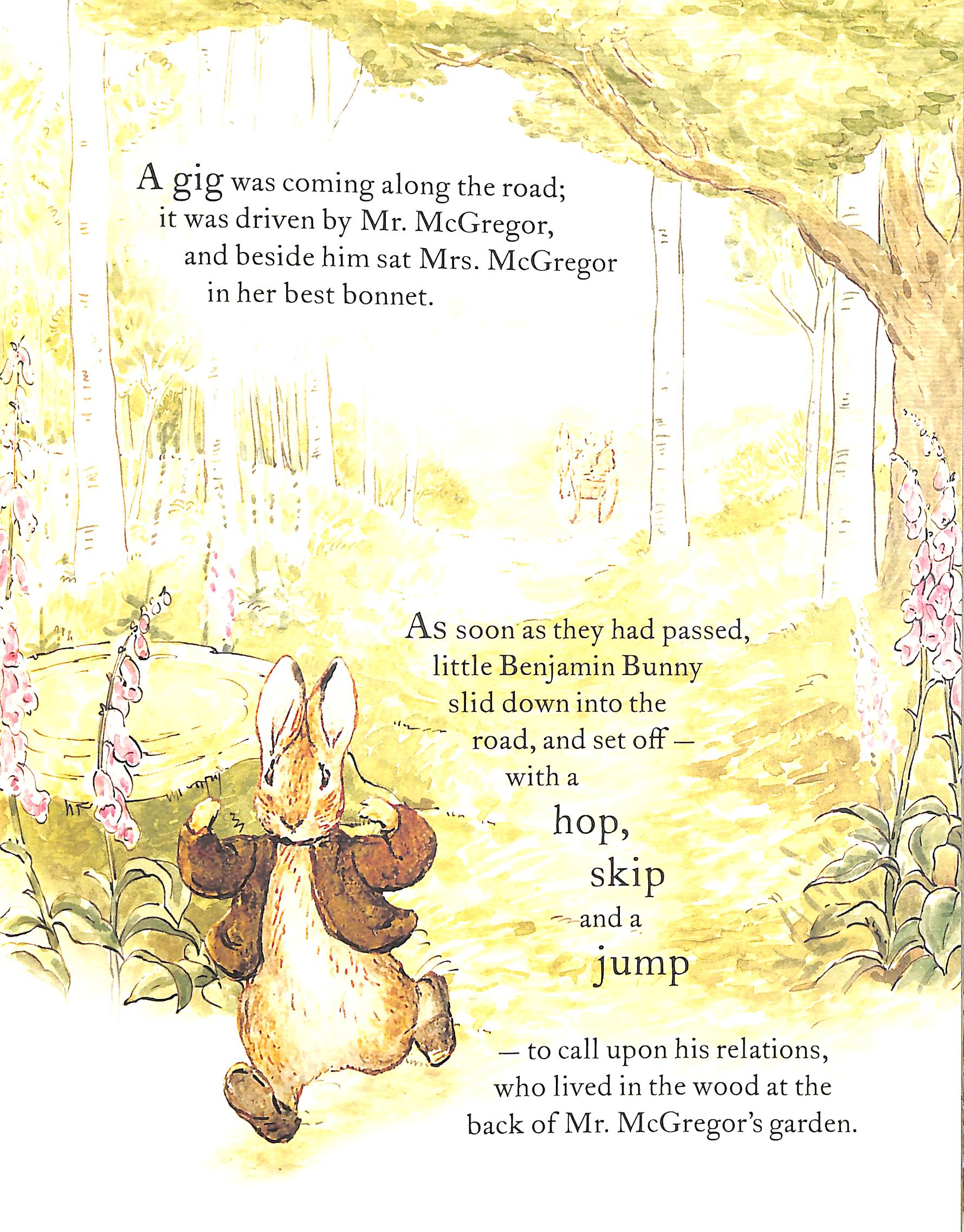 the tale of benjamin bunny picture book