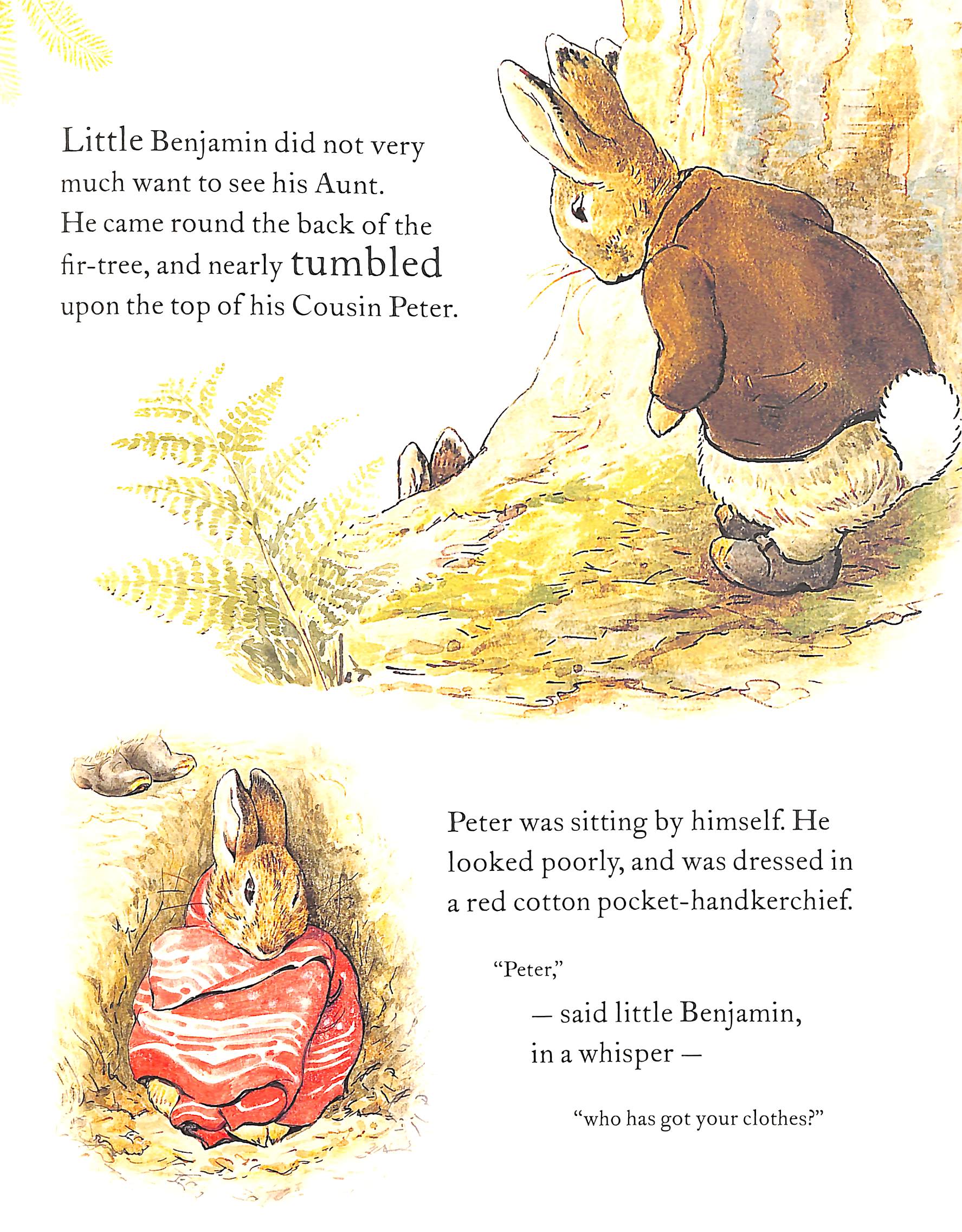 the tale of benjamin bunny picture book