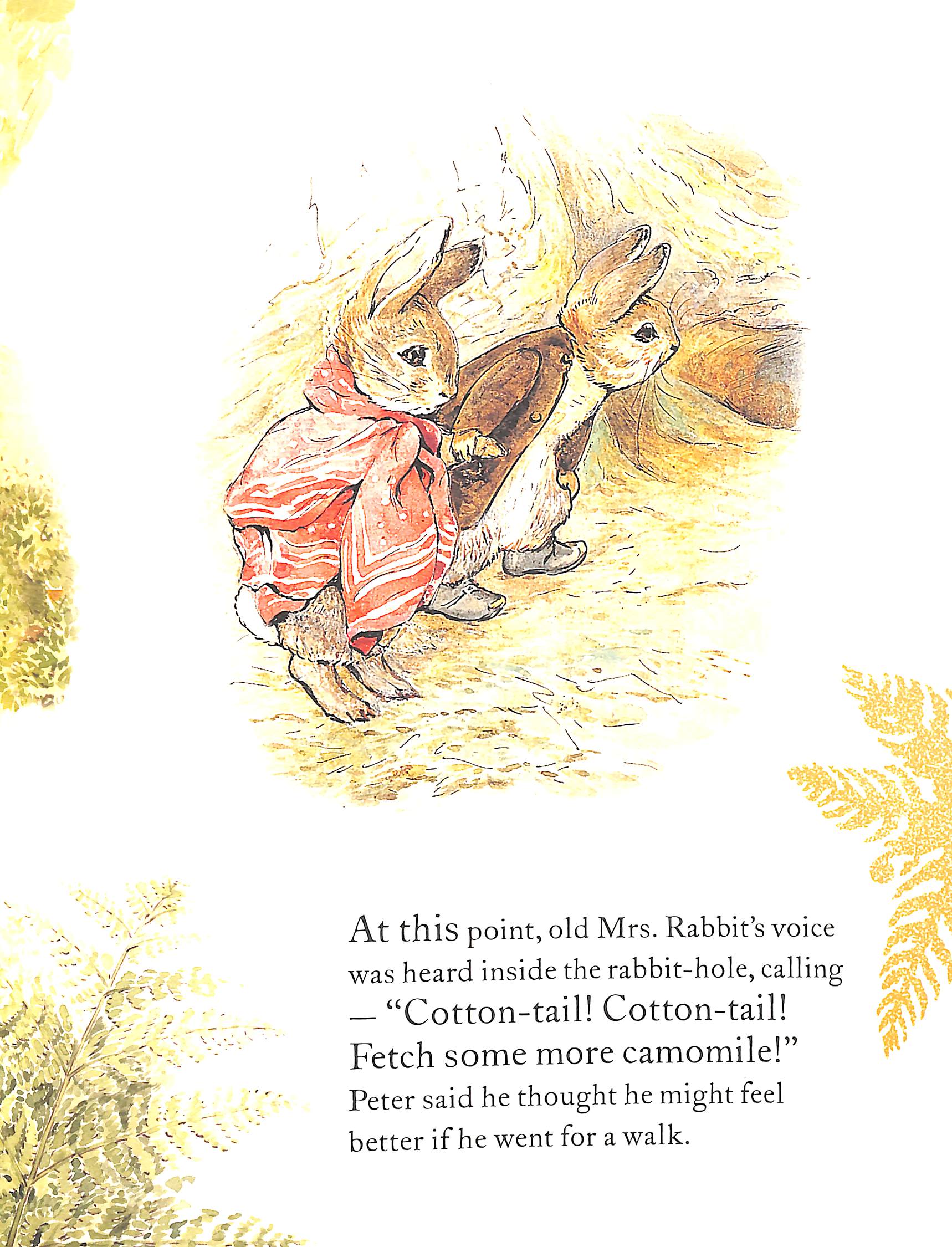 the tale of benjamin bunny picture book