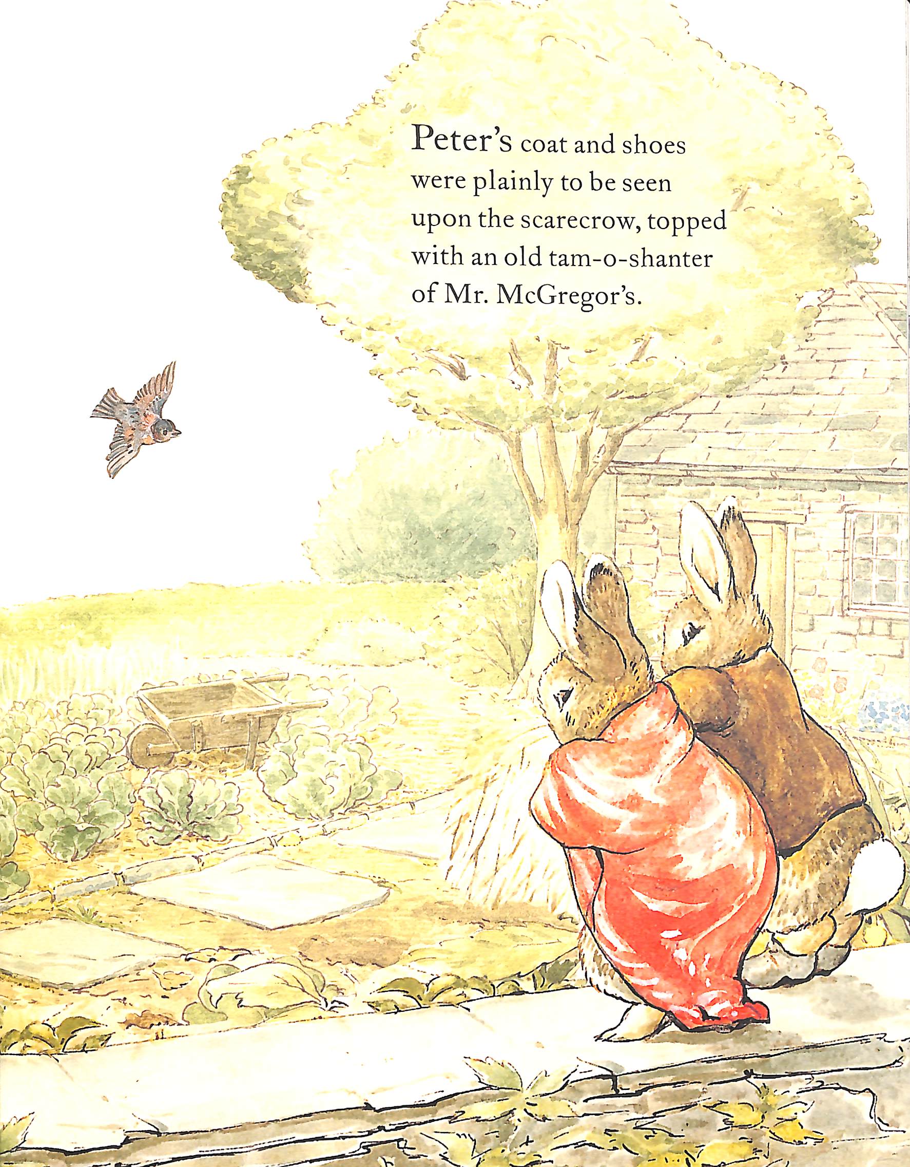 the tale of benjamin bunny picture book