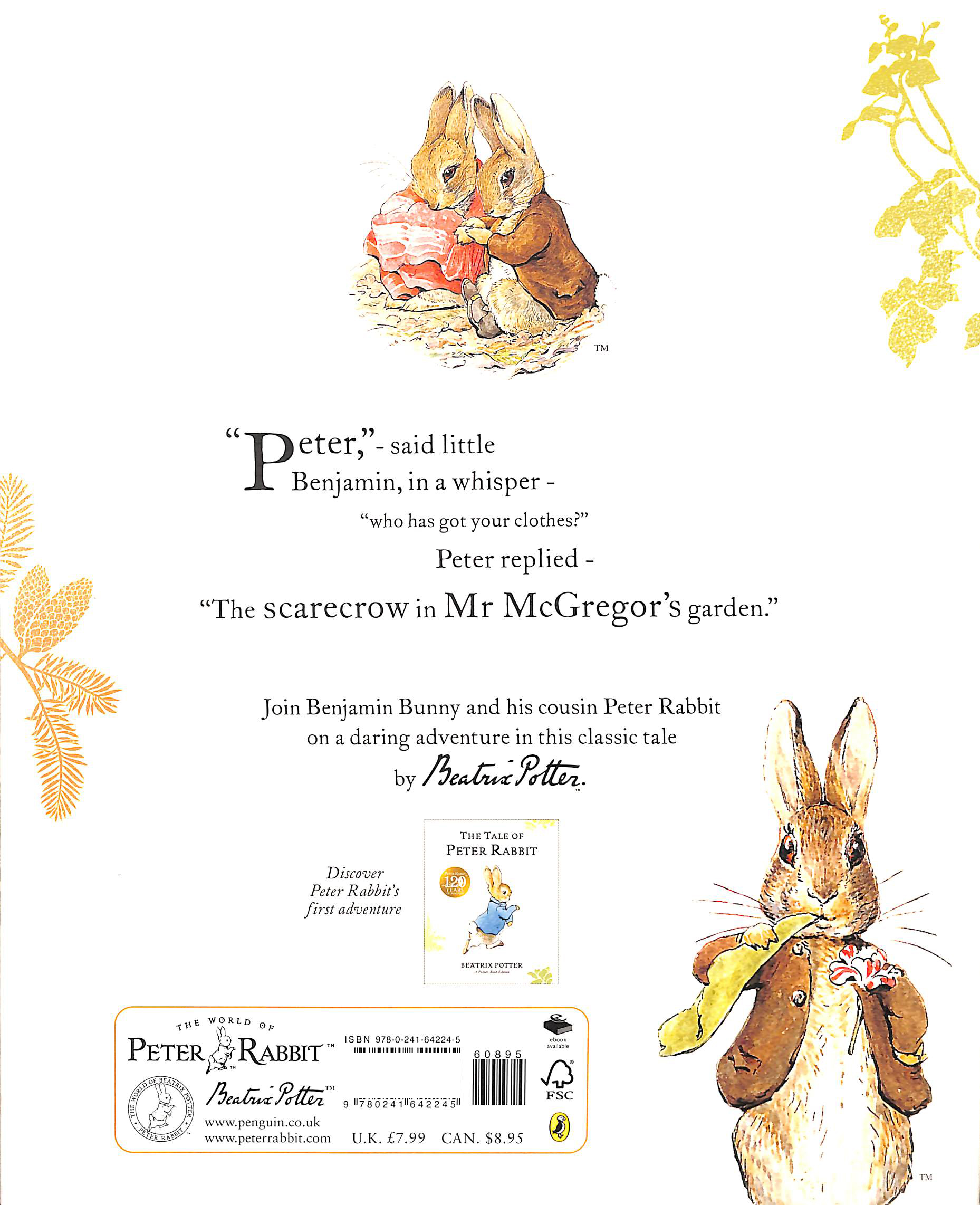 the tale of benjamin bunny picture book