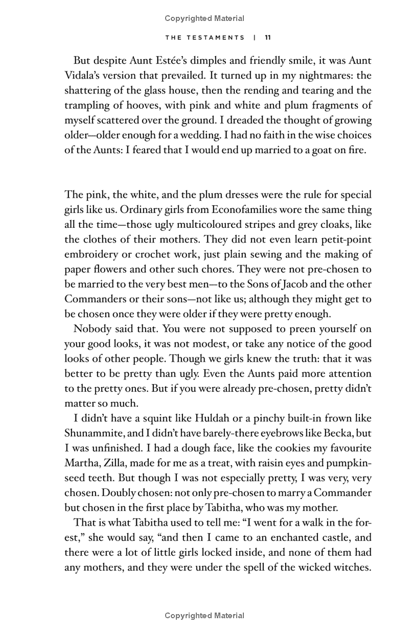 the testaments: a novel (handmaid's tale)