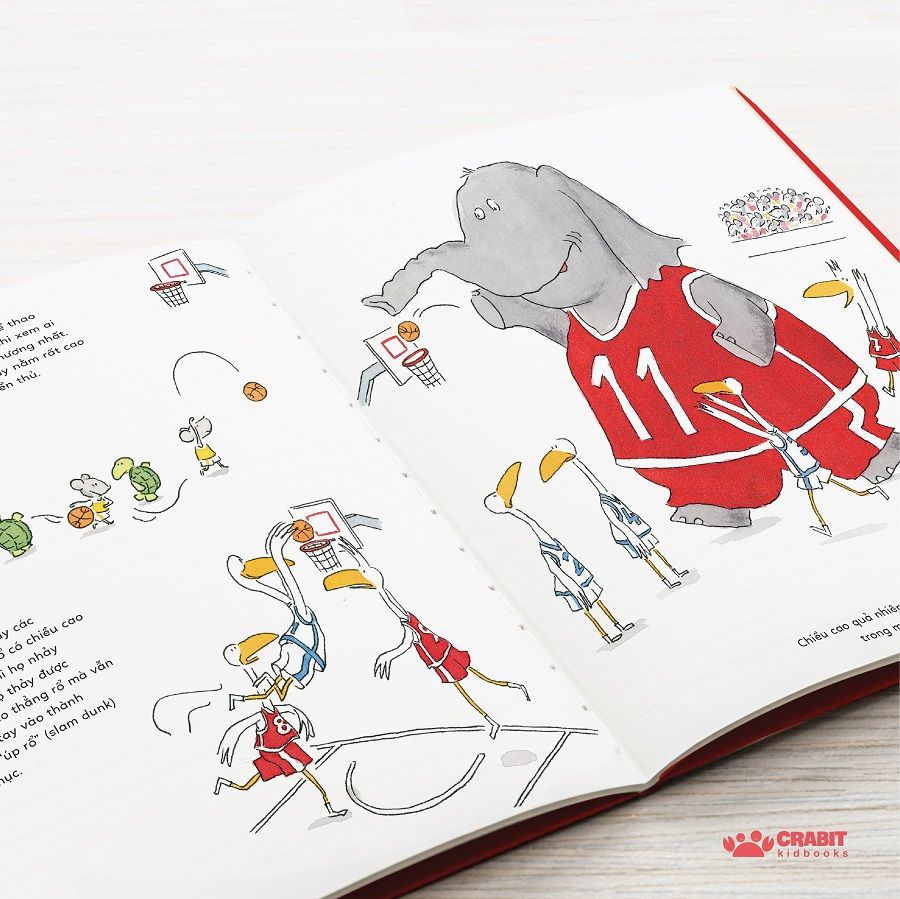 thể thao vui biết bao