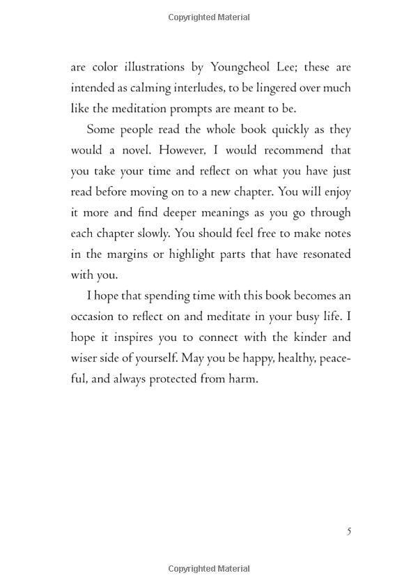 the things you can see only when you slow down