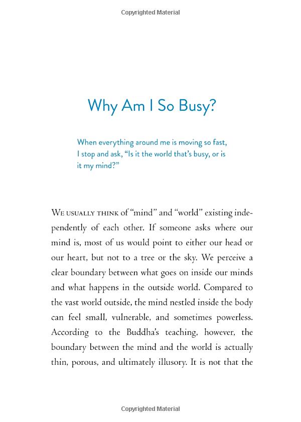 the things you can see only when you slow down