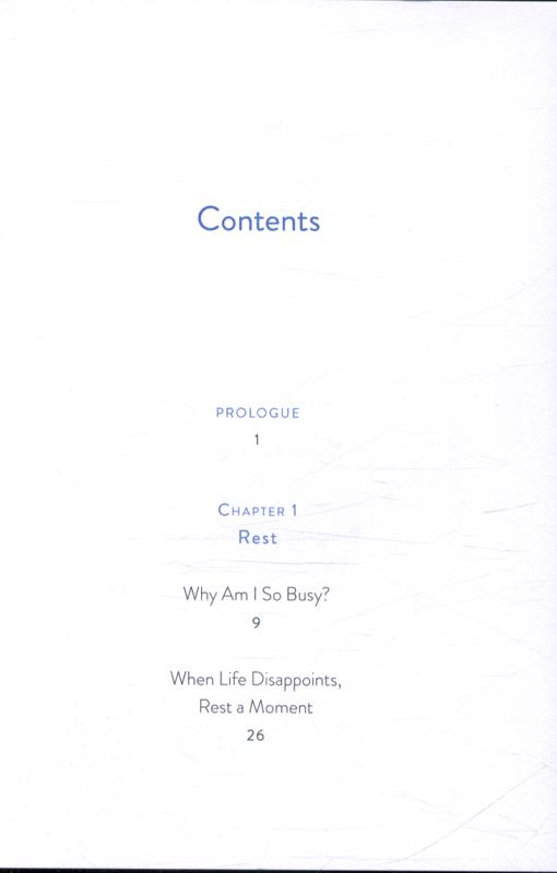 the things you can see only when you slow down: how to be calm in a busy world