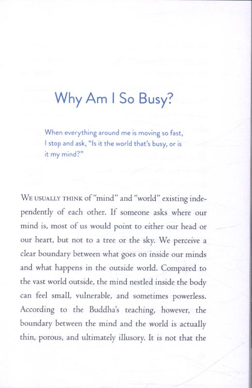 the things you can see only when you slow down: how to be calm in a busy world
