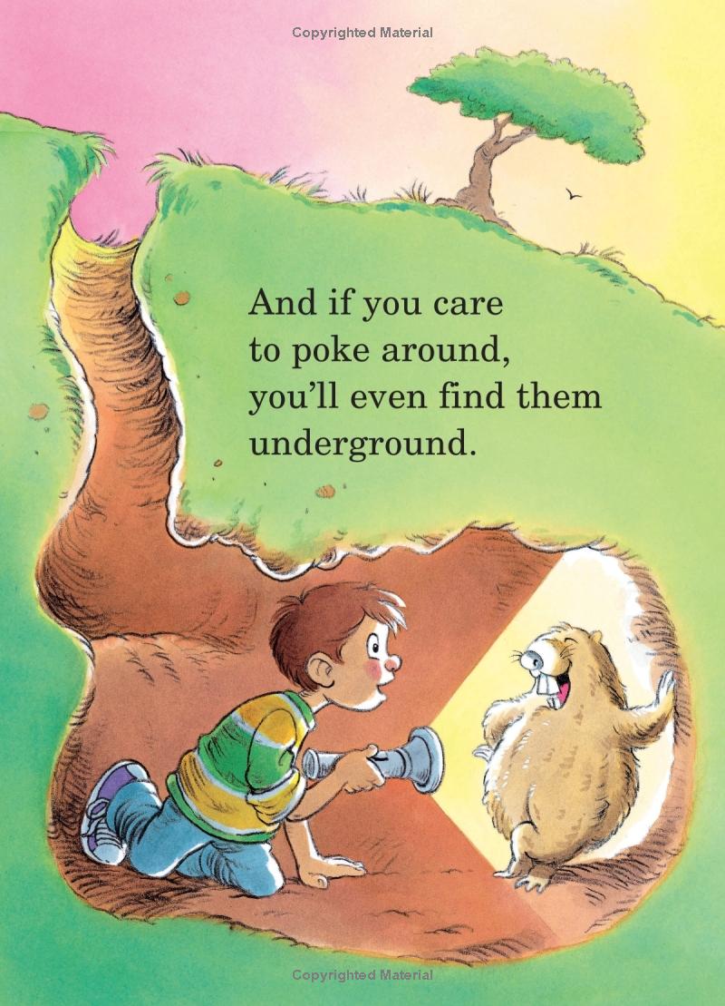 the tooth book (big bright & early board book)