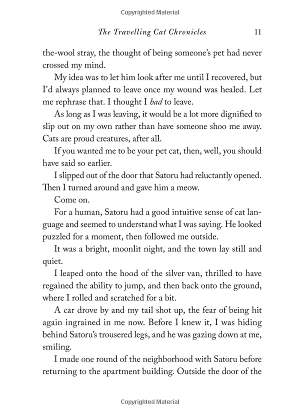 the travelling cat chronicles