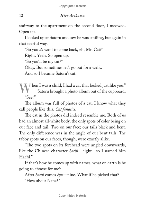 the travelling cat chronicles