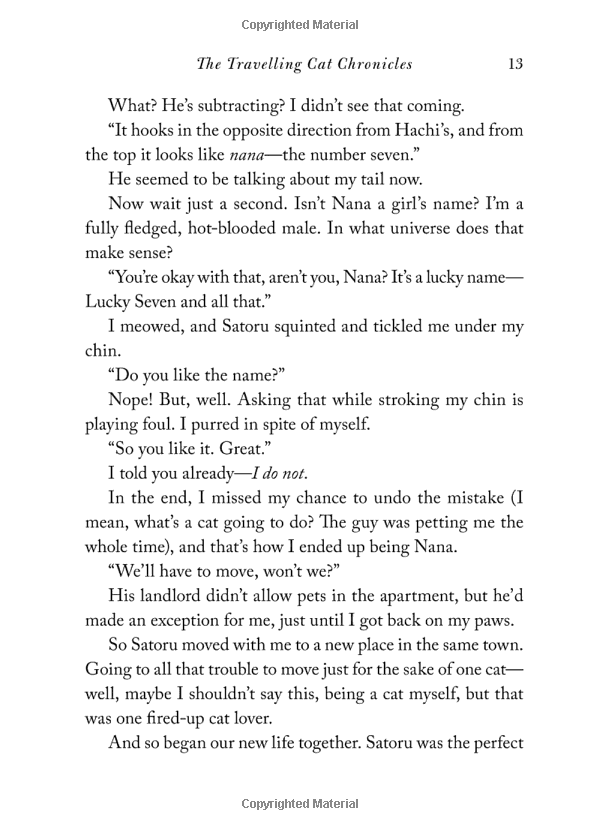 the travelling cat chronicles