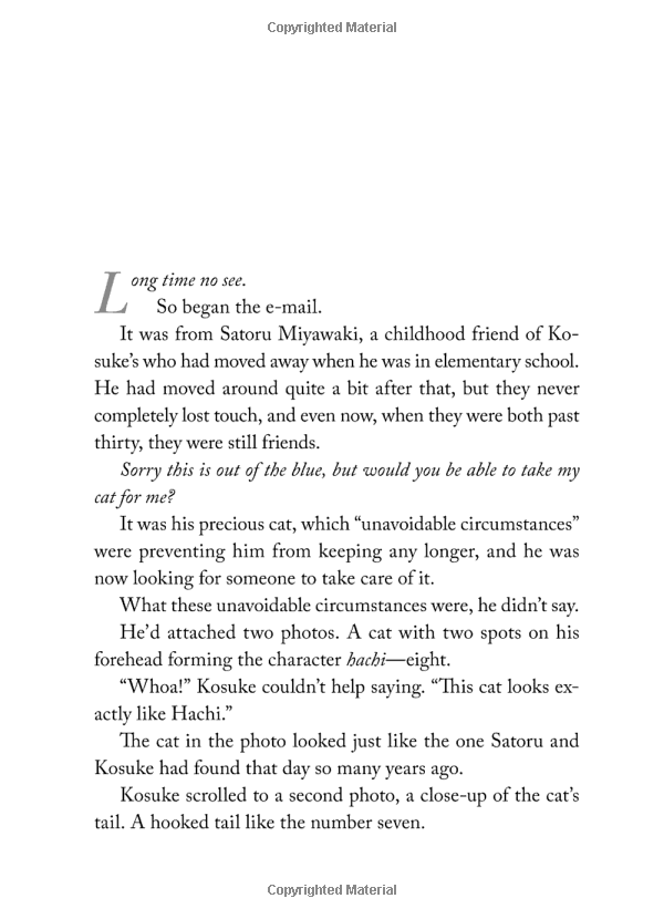 the travelling cat chronicles